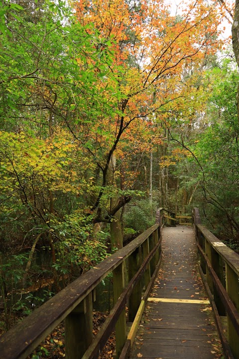 UWF Trails